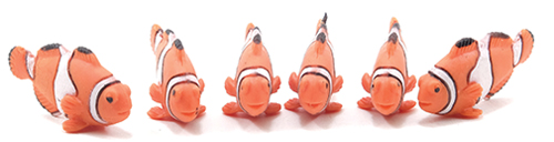 Clown Fish, 6pc